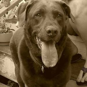 Meet your Posher, Mark